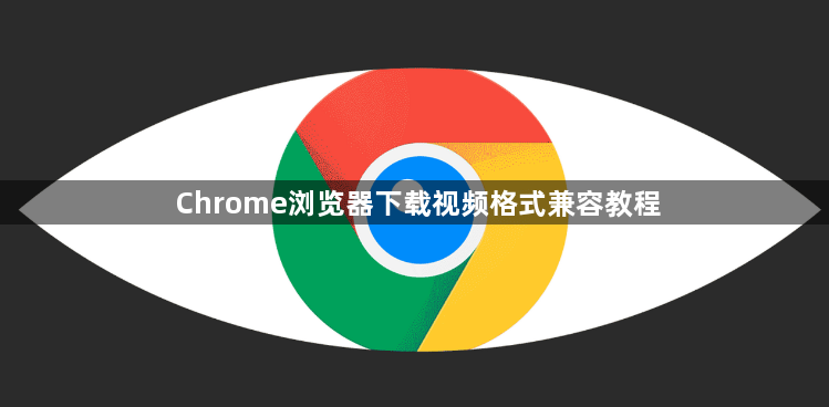Chrome浏览器下载视频格式兼容教程1