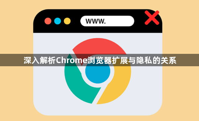 深入解析Chrome浏览器扩展与隐私的关系1