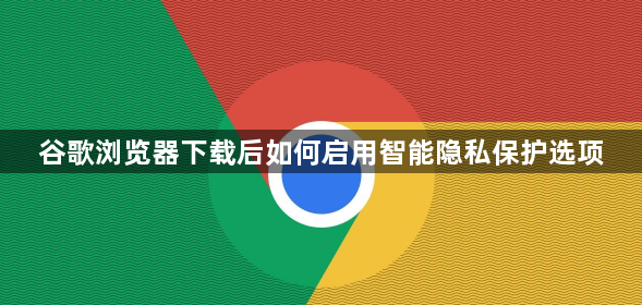 谷歌浏览器下载后如何启用智能隐私保护选项1