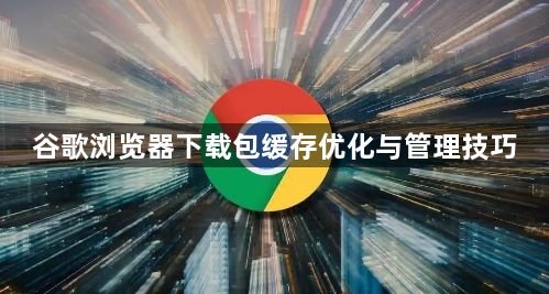 谷歌浏览器下载包缓存优化与管理技巧1