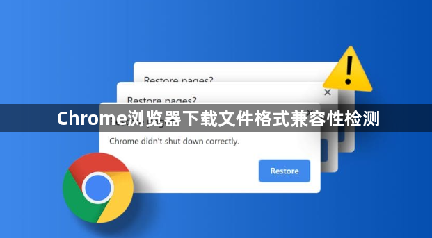 Chrome浏览器下载文件格式兼容性检测1