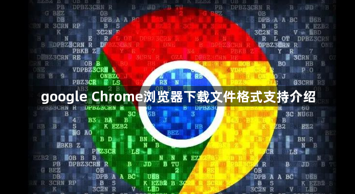 google Chrome浏览器下载文件格式支持介绍1