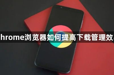 Chrome浏览器如何提高下载管理效率1