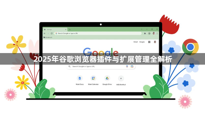 2025年谷歌浏览器插件与扩展管理全解析1
