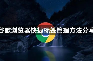 谷歌浏览器快捷标签管理方法分享1