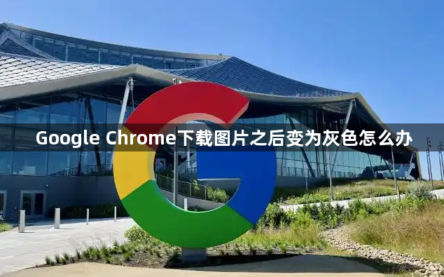 Google Chrome下载图片之后变为灰色怎么办1