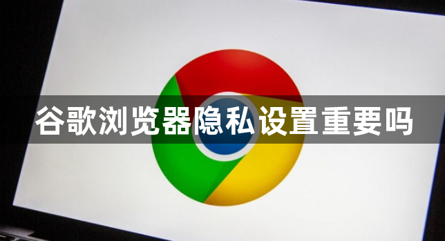 谷歌浏览器隐私设置重要吗1
