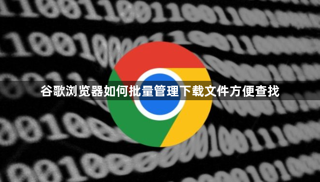 谷歌浏览器如何批量管理下载文件方便查找1