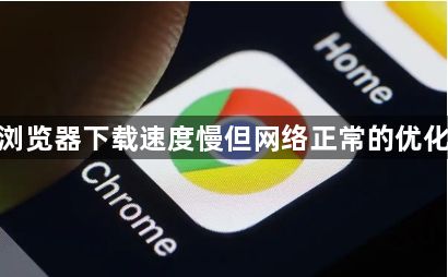 谷歌浏览器下载速度慢但网络正常的优化建议1