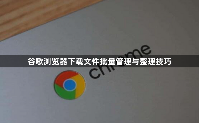 谷歌浏览器下载文件批量管理与整理技巧1