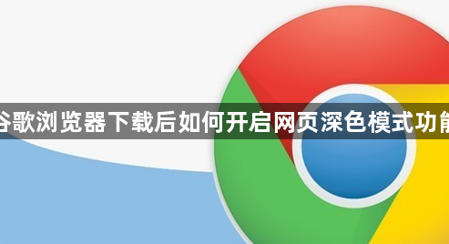 谷歌浏览器下载后如何开启网页深色模式功能1