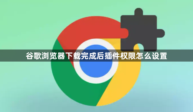 谷歌浏览器下载完成后插件权限怎么设置1