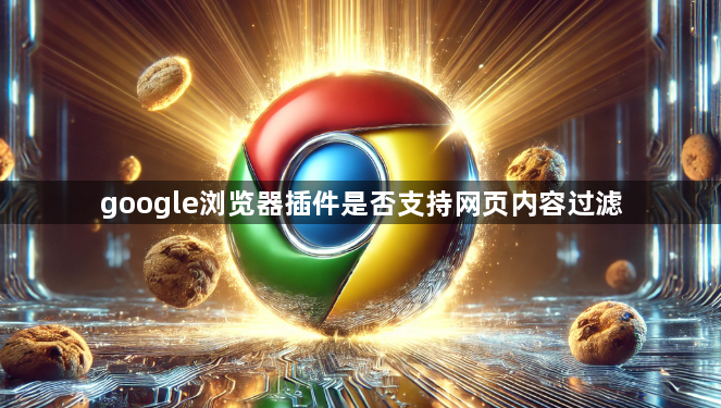 google浏览器插件是否支持网页内容过滤1