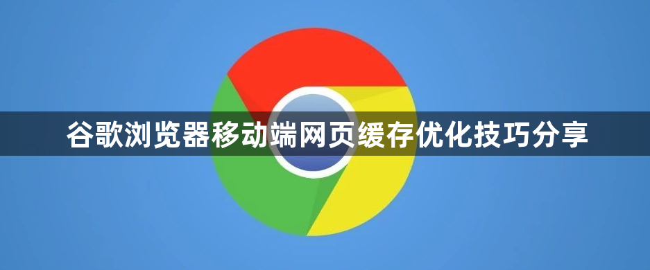 谷歌浏览器移动端网页缓存优化技巧分享1