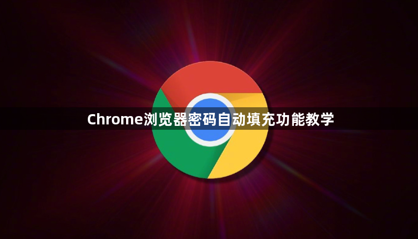 Chrome浏览器密码自动填充功能教学1