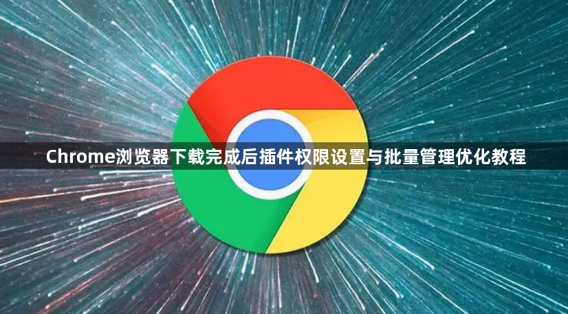 Chrome浏览器下载完成后插件权限设置与批量管理优化教程1