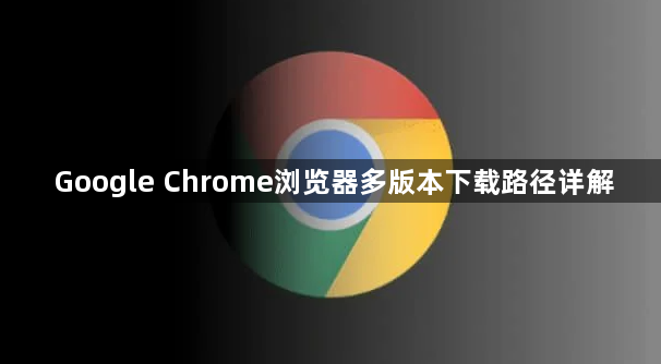 Google Chrome浏览器多版本下载路径详解1